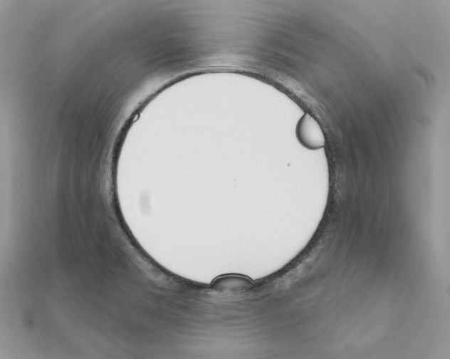 X0000110981469200907310940