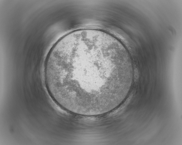 X0000110981470200907310940