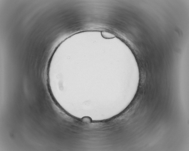 X0000110981471200907310940