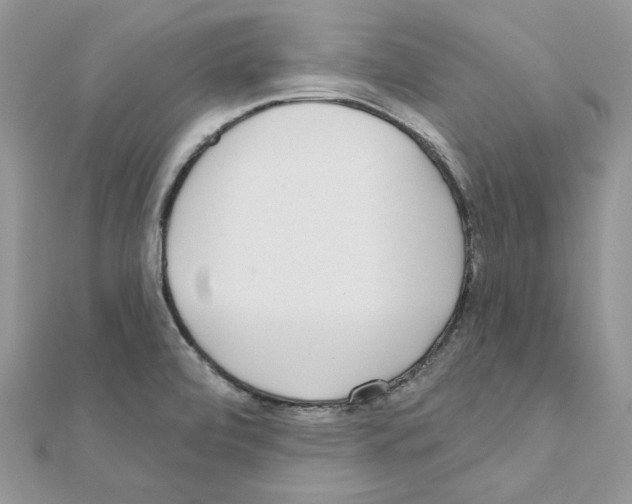 X0000110981472200907310939
