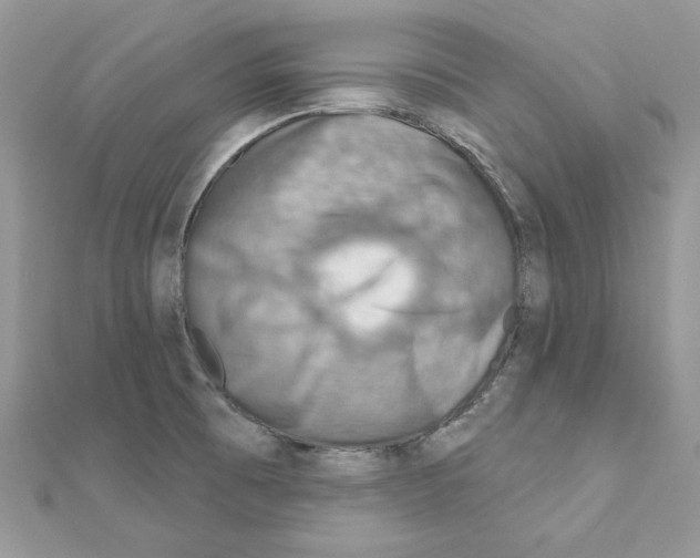 X0000110981473200907310939