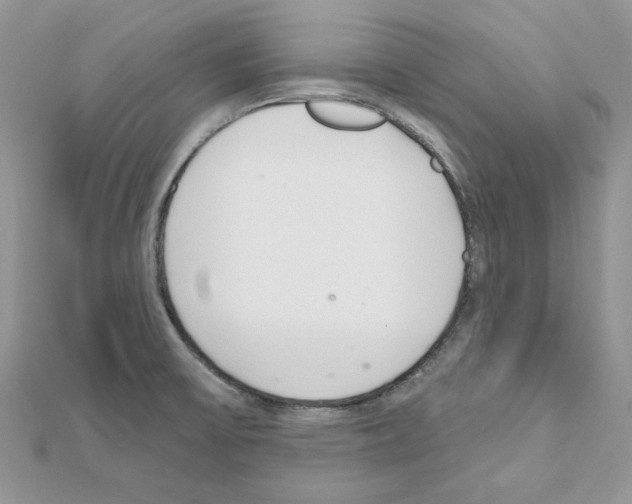 X0000110981475200907310939