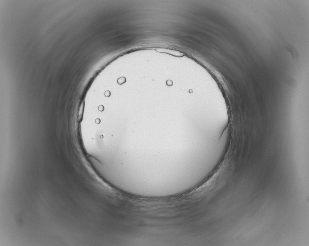 X0000110981477200907310939