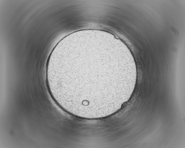 X0000110981479200907310939