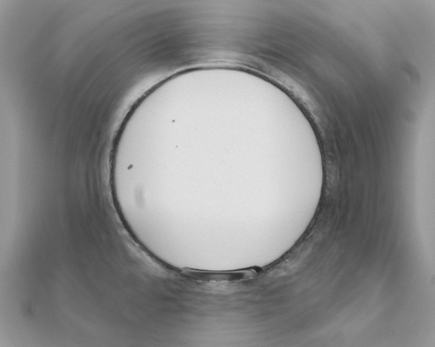 X0000110981480200907310939