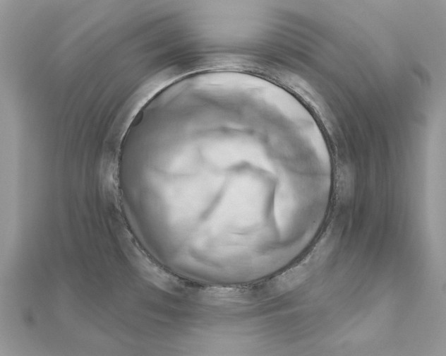 X0000110981481200907310939