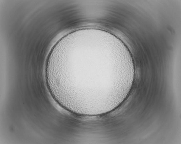 X0000110981482200907310939