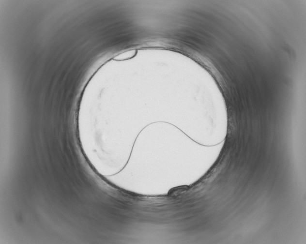 X0000110981483200907310939