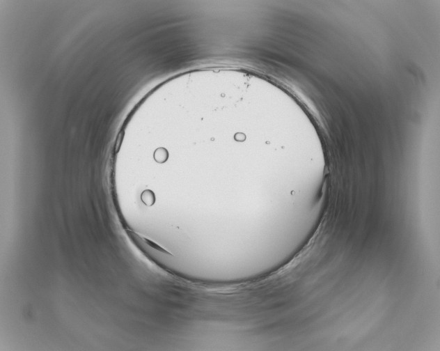 X0000110981484200907310939