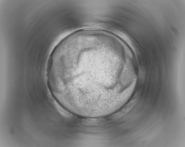 X0000110981485200907310939