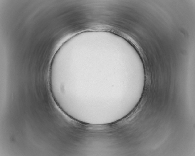 X0000110981487200907310939