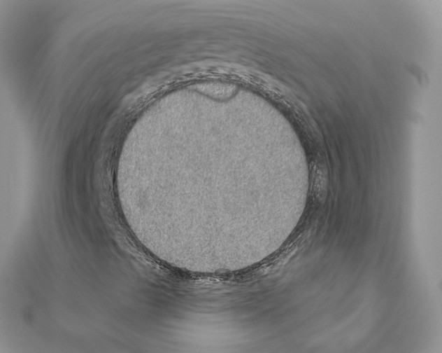 X0000110981489200907310939