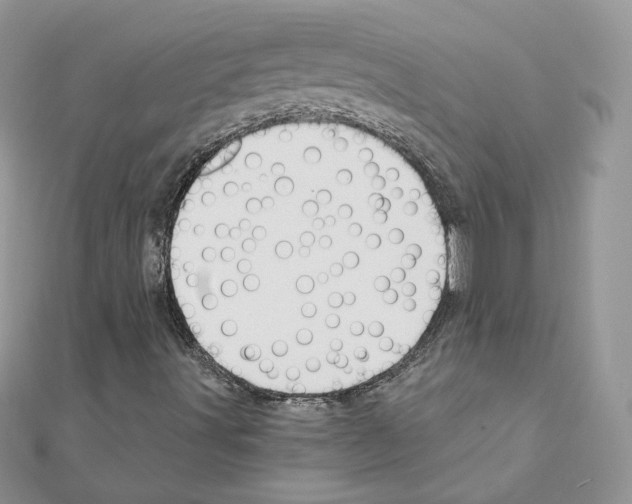 X0000110981491200907310939
