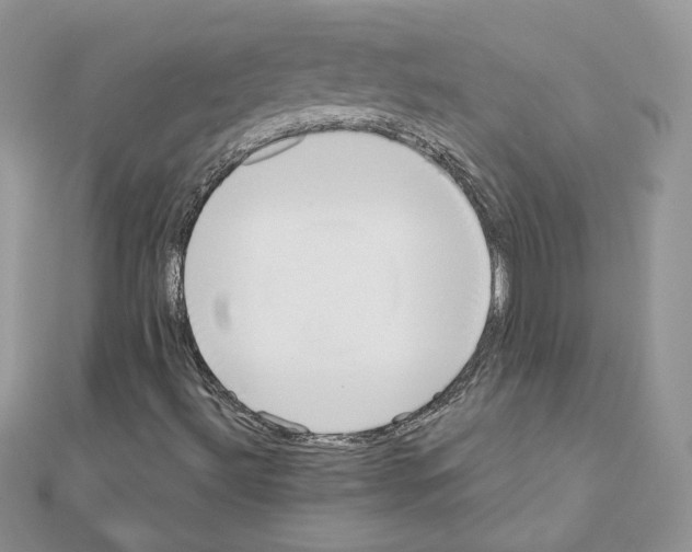 X0000110981492200907310939