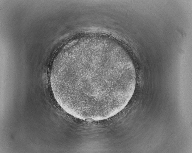 X0000110981493200907310939