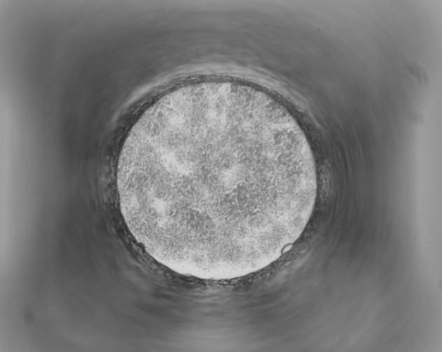 X0000110981494200907310939