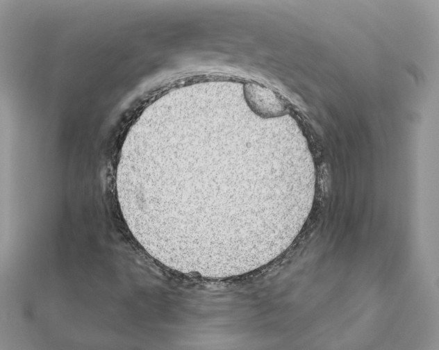 X0000110981495200907310939