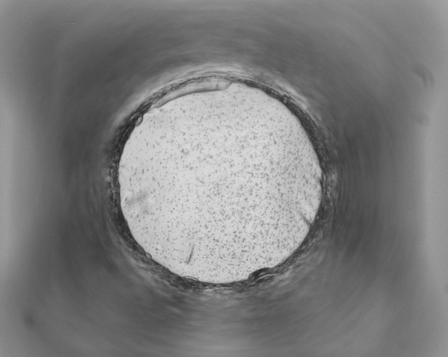 X0000110981496200907310939