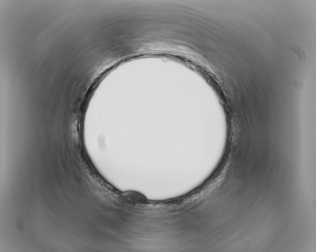 X0000110981497200907310939