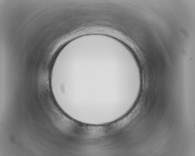 X0000110981498200907310939