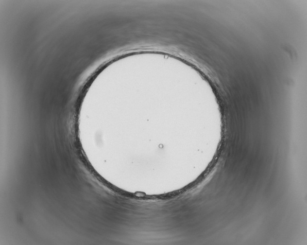 X0000110981502200907310939