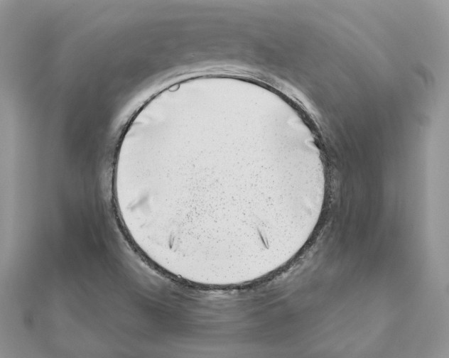 X0000110981504200907310939
