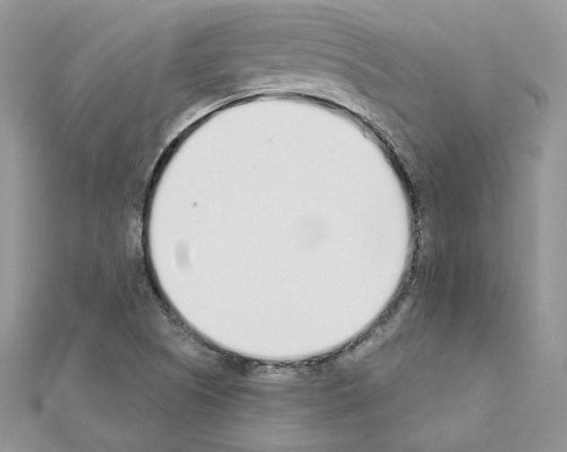 X0000110981505200907310939