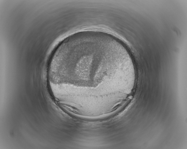 X0000110981506200907310939