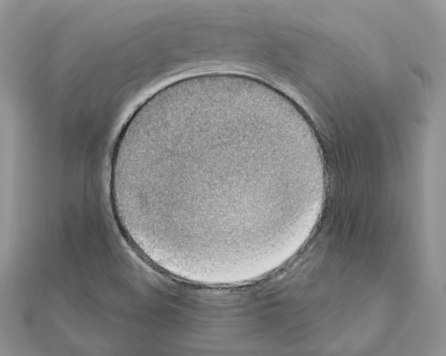 X0000110981508200907310939