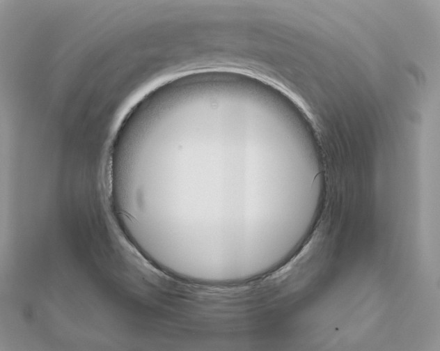 X0000110981510200907310939