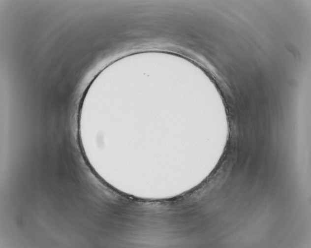 X0000110981512200907310939