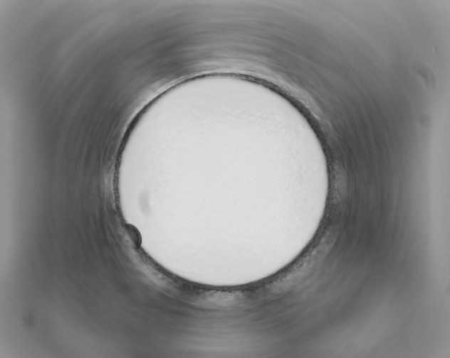 X0000110981513200907310939