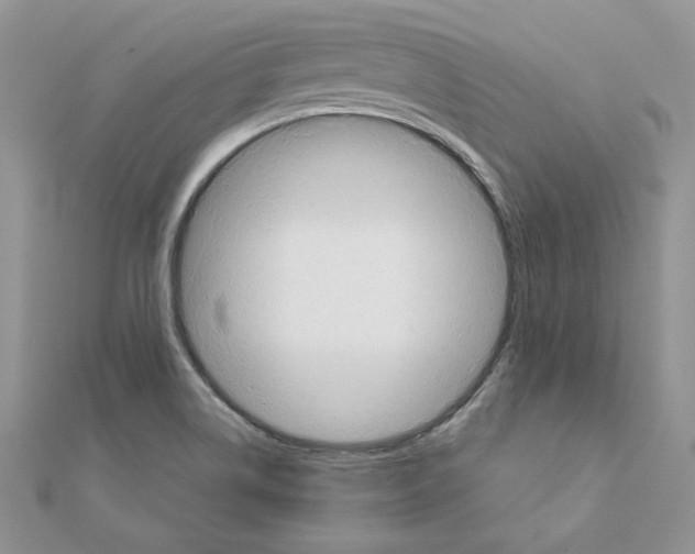 X0000110981514200907310939