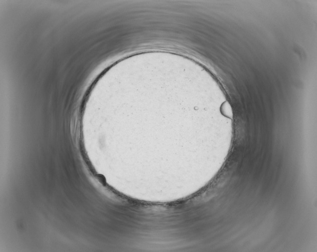 X0000110981515200907310939