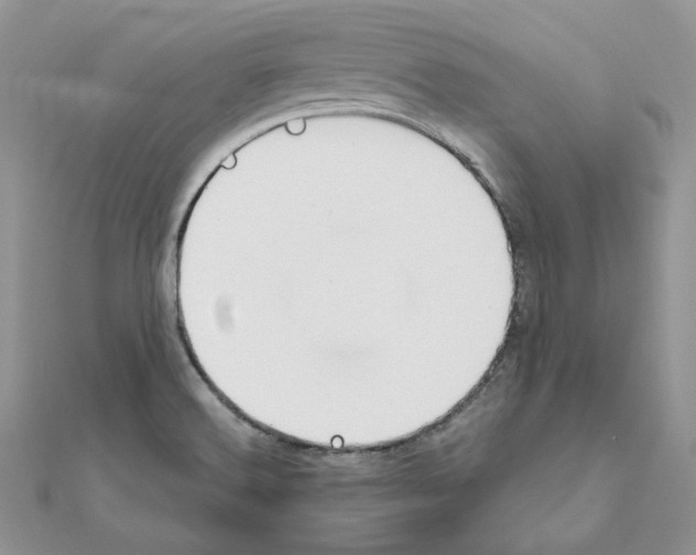 X0000110981516200907310939