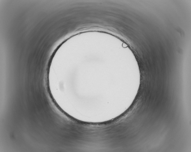 X0000110981518200907310939