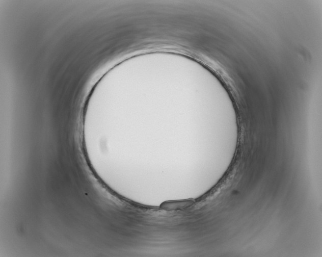 X0000110981520200907310939