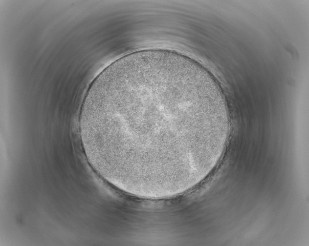 X0000110981521200907310939