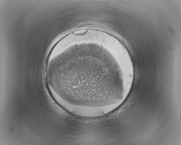 X0000110981522200907310939