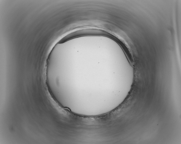 X0000110981524200907310939