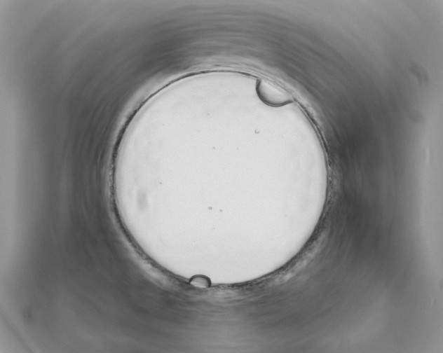 X0000110981525200907310939