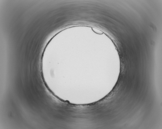 X0000110981527200907310939
