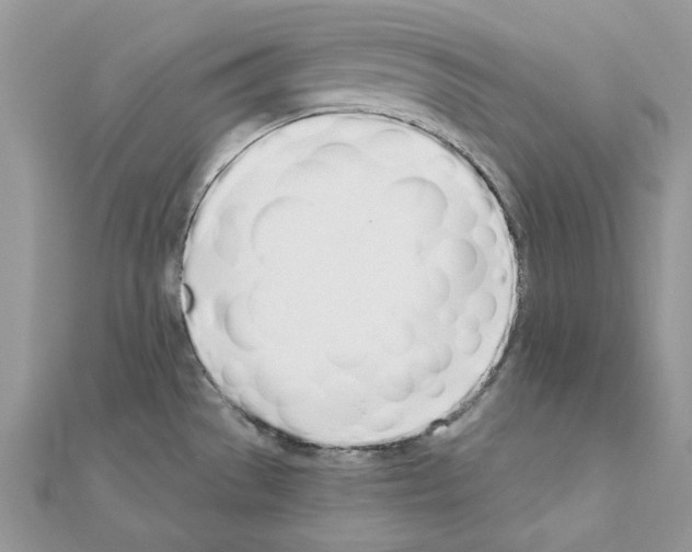 X0000110981529200907310939