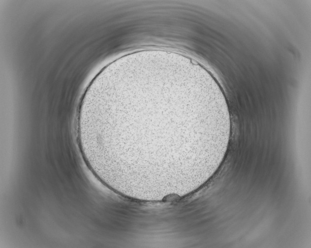 X0000110981531200907310939