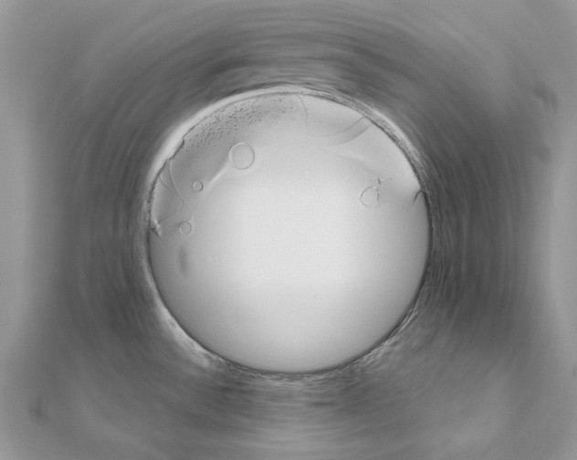 X0000110981532200907310939
