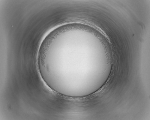 X0000110981536200907310939