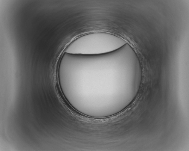 X0000110990002200906191119