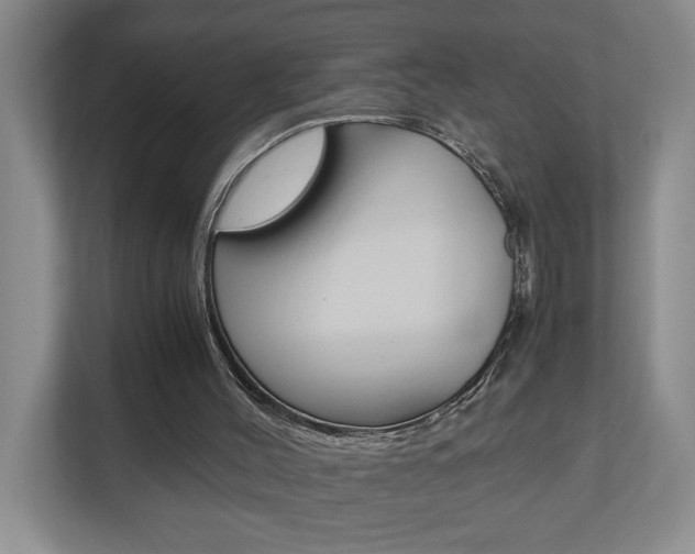 X0000110990004200906191119