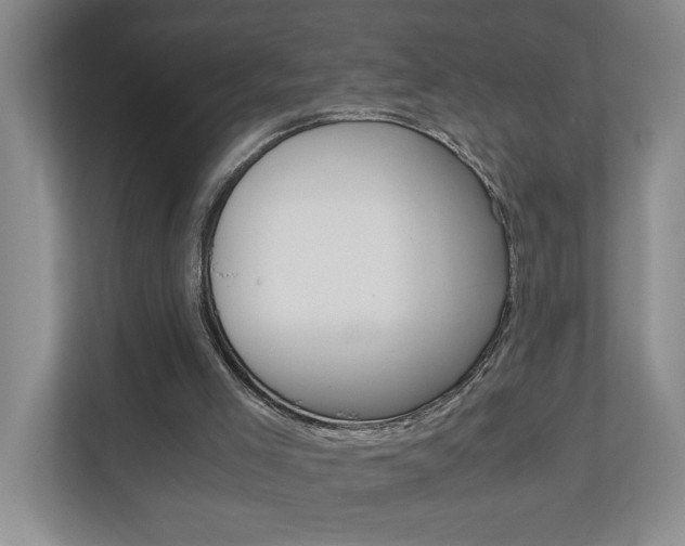 X0000110990005200906191119