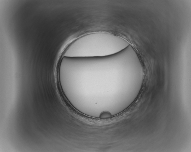 X0000110990006200906191119